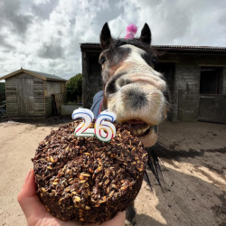 TARTA CELEBRACIÓN STUD MUFFINS