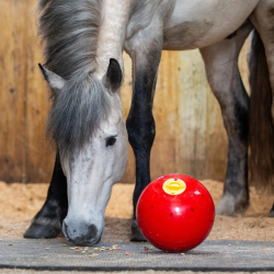 JUGUETE LIKIT SNAK A BALL