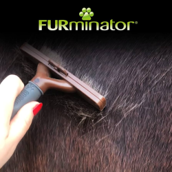 CEPILLO FURMINATOR HORSE