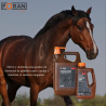 FORAN-SUPLEMENTO HIERRO FERATONE 1L