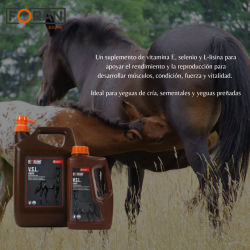 FORAN-SUPLEMENTO MADRES V.S.L LIQUID 1L