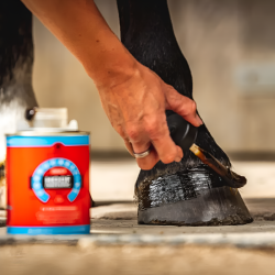 C&D Pomada cascos Cornucrescine Daily Hoof Dressing 500ml