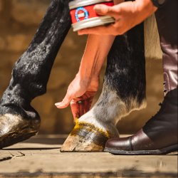 C&D Grasa cascos Cornucrescine Original Hoof Ointment 250ml